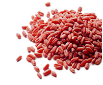 Oferta – produkty – nawozy