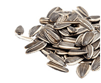 Oferta – produkty – materiał siewny