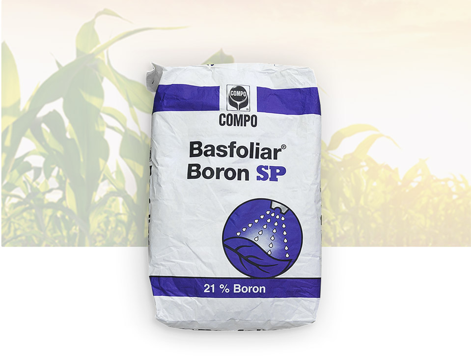 Oferta – produkty – nawozy – dolistne