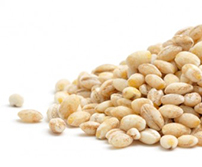 Oferta – produkty – materiał siewny