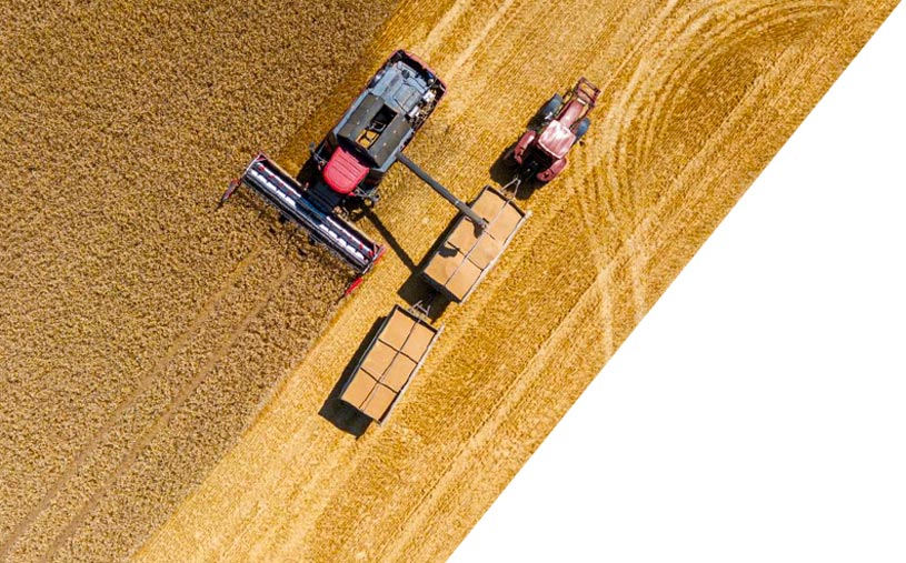 Oferta – skup zbóż