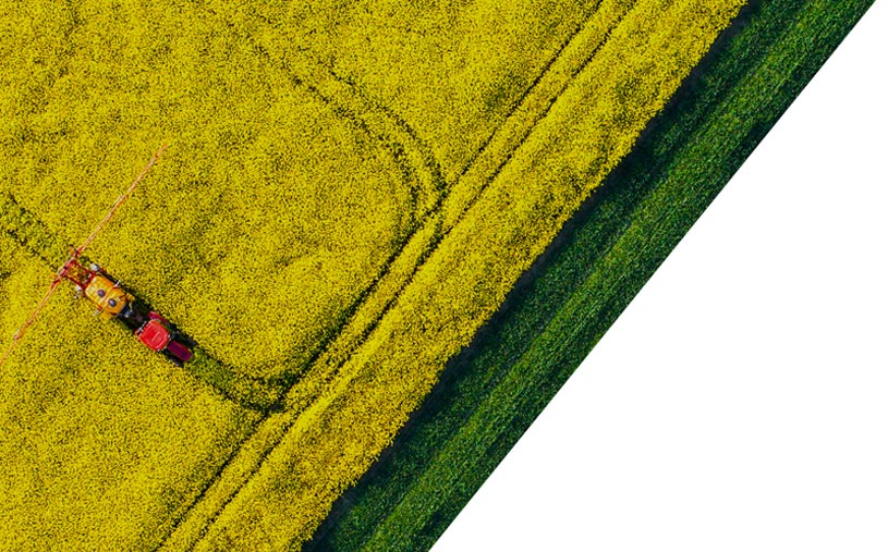 Oferta – produkty – środki ochrony roślin. Adiuwanty.